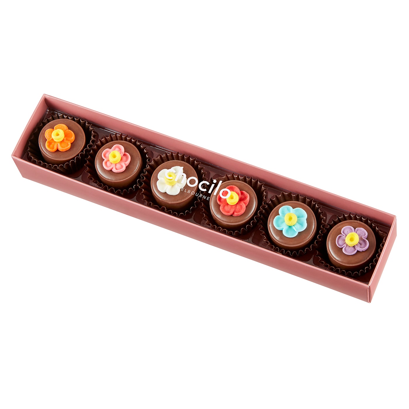 Chocilo Melbourne Gift Box with Milk Couverture Chocolate Hazelnut Praline Flower Pot