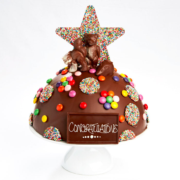 Large Chocolate Smash Cake