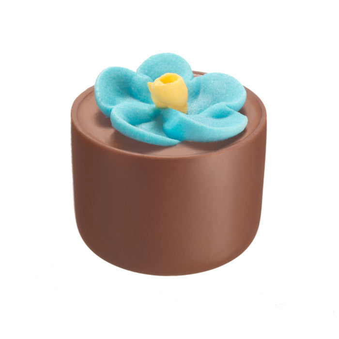 Chocilo Melbourne Milk Chocolate Hazelnut Praline Flower Pot Blue