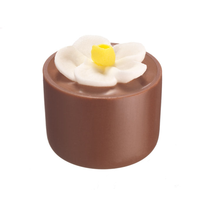 Chocilo Melbourne Milk Chocolate Hazelnut Praline Flower Pot White