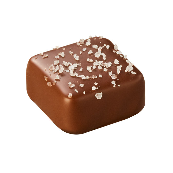 Chocilo Melbourne Milk Chocolate Salted Caramel