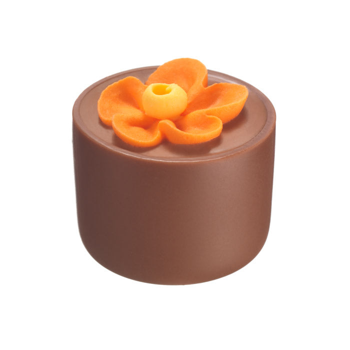 Chocilo Melbourne Milk Chocolate Hazelnut Praline Flower Pot Orange