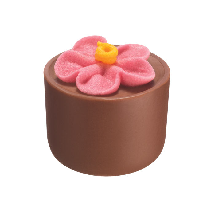 Chocilo Melbourne Milk Chocolate Hazelnut Praline Flower Pot Pink