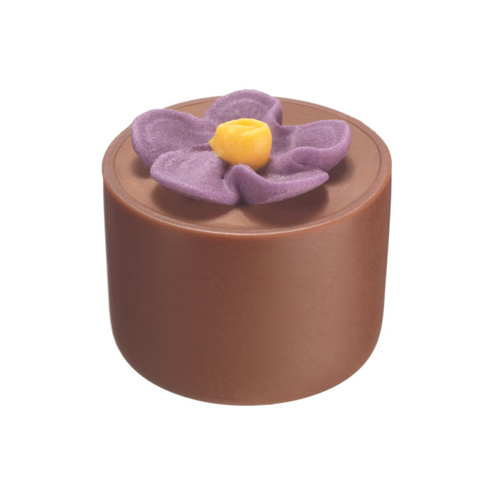 Chocilo Melbourne Milk Chocolate Hazelnut Praline Flower Pot Purple