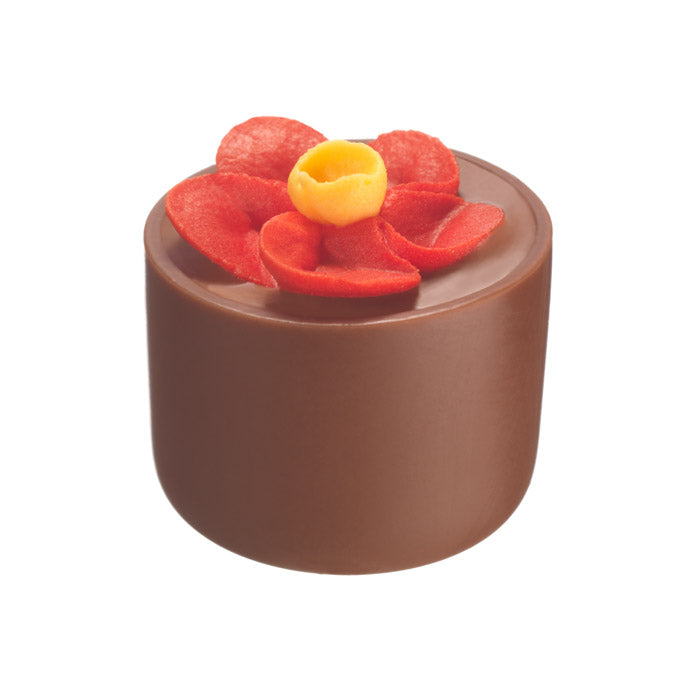 Chocilo Melbourne Milk Chocolate Hazelnut Praline Flower Pot Red